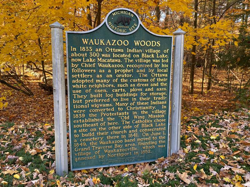 Waukazoo Woods