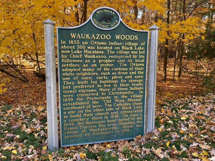 Waukazoo Woods