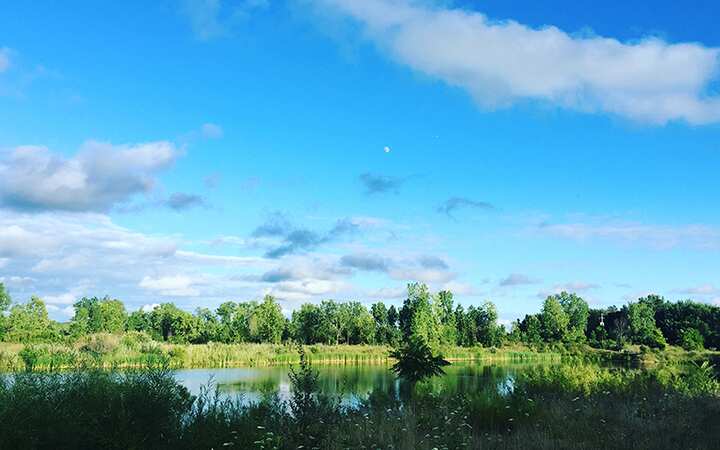 Grand River Open Space