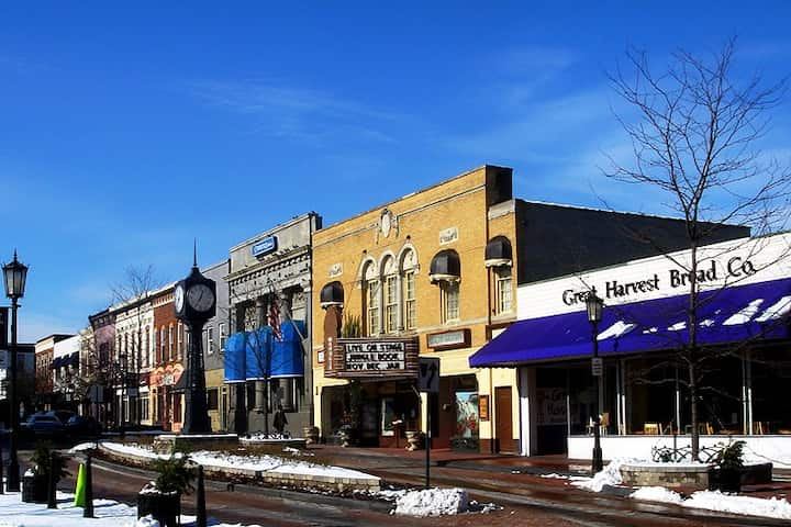 NorthvilleMichiganDowntown1